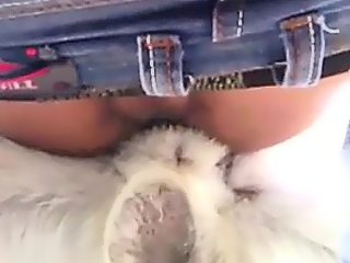 Gay dog cumming