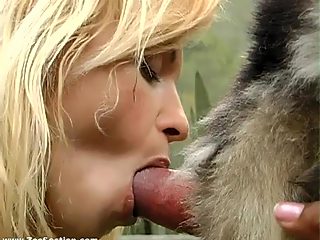 Brazilian zoo sex. Girl blowing her dog