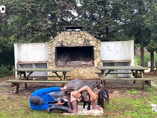 Farmyard animal porn