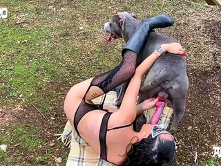 Farmyard animal porn