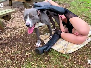 Farmyard animal porn