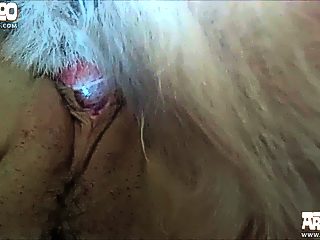 Woman sex with two dogs