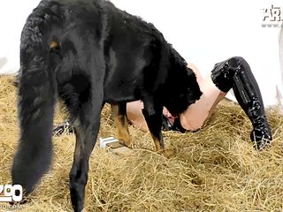 Animal and woman xxx 	