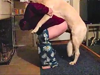 Dog and man sex video
