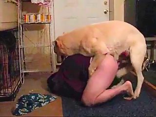 Dog and man sex video