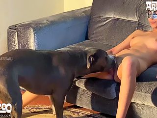 Oral sex with dog