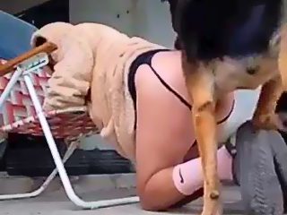 Animal sex men