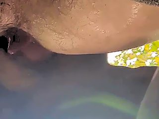 Dog cumming gay