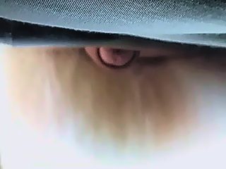 Dog cumming gay